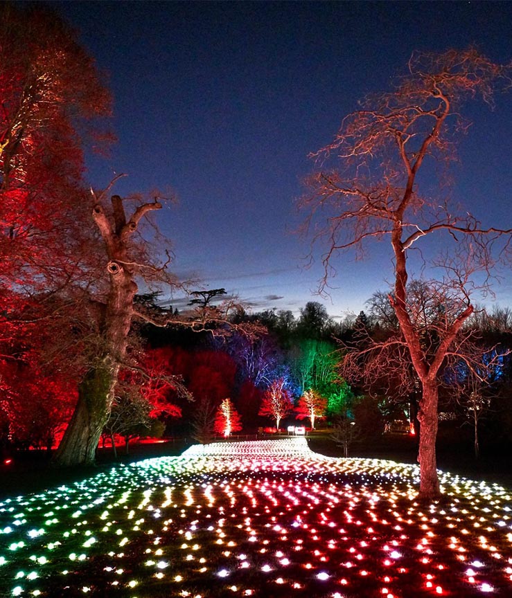 LED pixel nodes between trees outdoor art installation